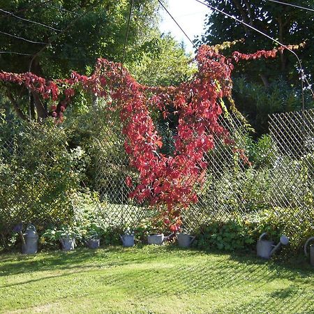 Les Jardins De L'Aulnaie Bed & Breakfast Fontaine-sous-Jouy Eksteriør bilde