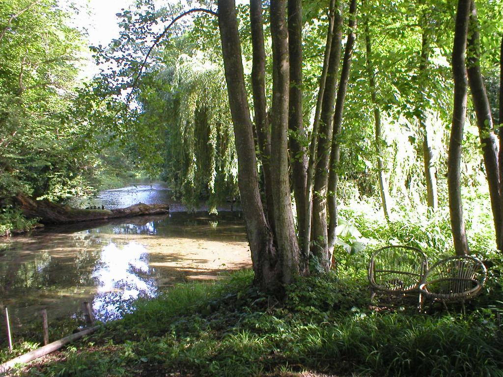 Les Jardins De L'Aulnaie Bed & Breakfast Fontaine-sous-Jouy Eksteriør bilde