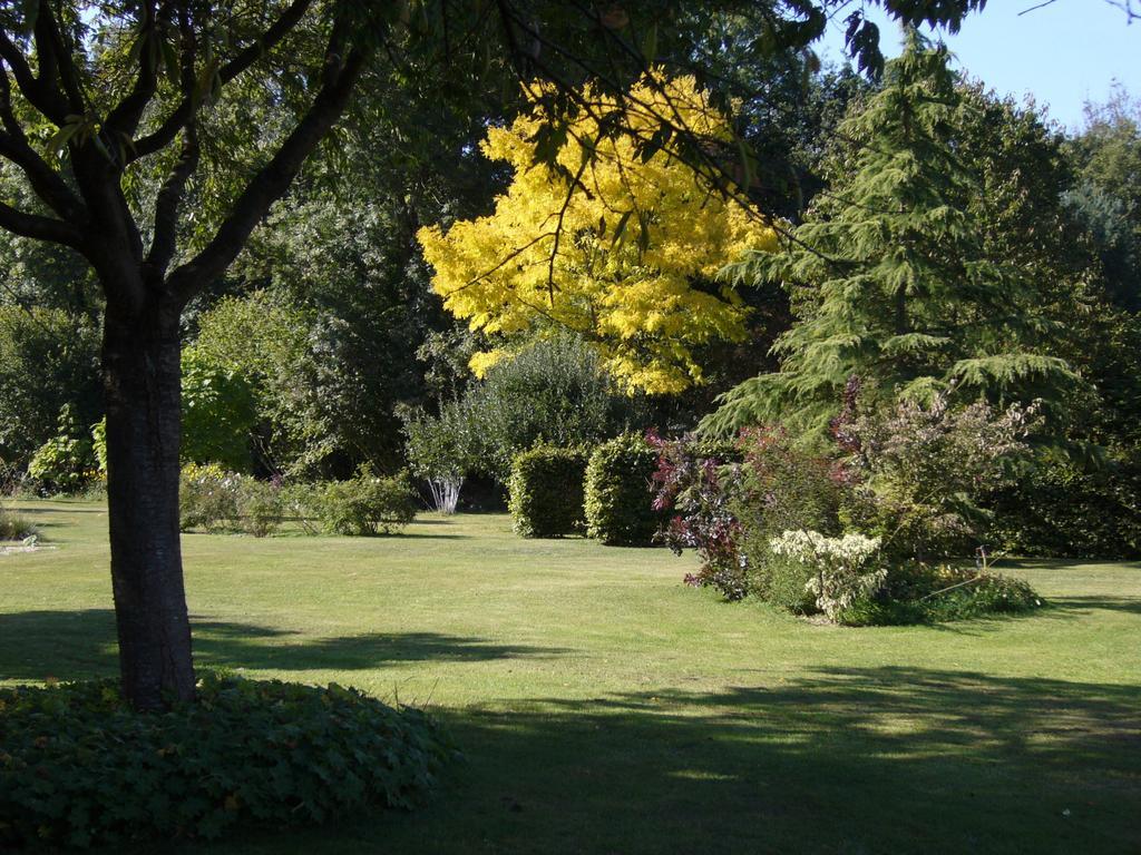 Les Jardins De L'Aulnaie Bed & Breakfast Fontaine-sous-Jouy Eksteriør bilde