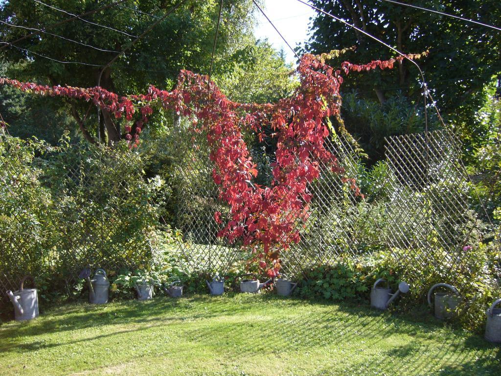 Les Jardins De L'Aulnaie Bed & Breakfast Fontaine-sous-Jouy Eksteriør bilde