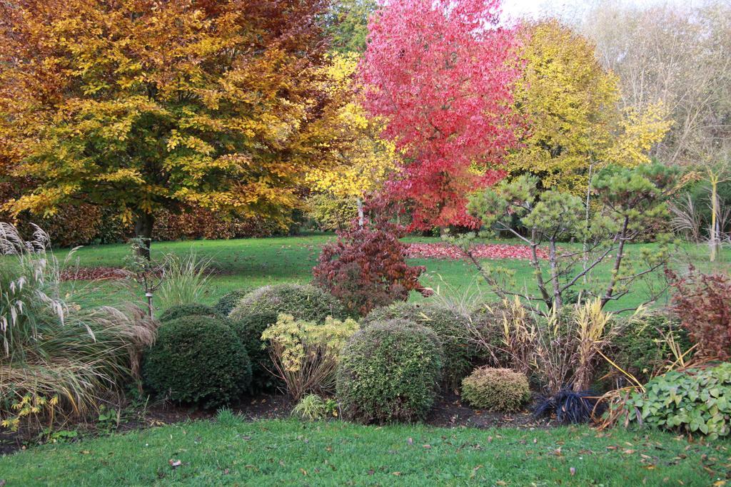 Les Jardins De L'Aulnaie Bed & Breakfast Fontaine-sous-Jouy Eksteriør bilde