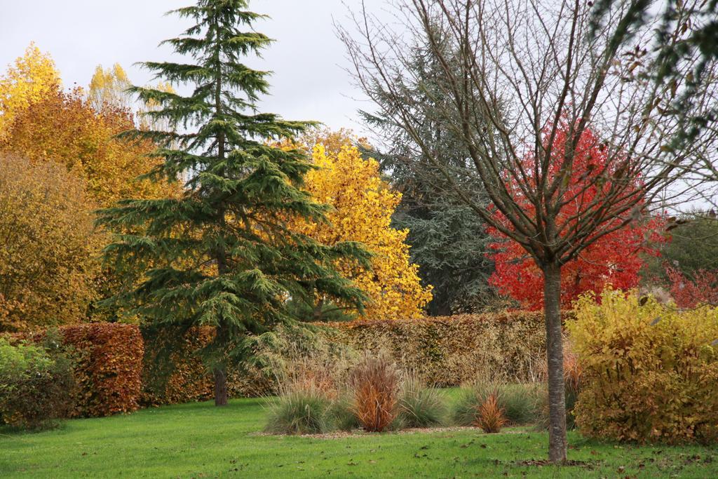 Les Jardins De L'Aulnaie Bed & Breakfast Fontaine-sous-Jouy Eksteriør bilde