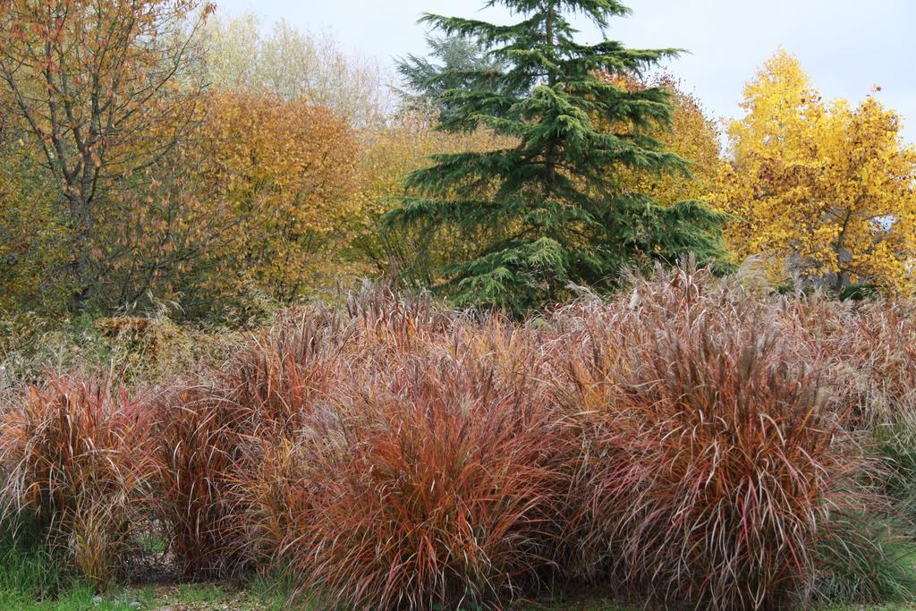 Les Jardins De L'Aulnaie Bed & Breakfast Fontaine-sous-Jouy Eksteriør bilde